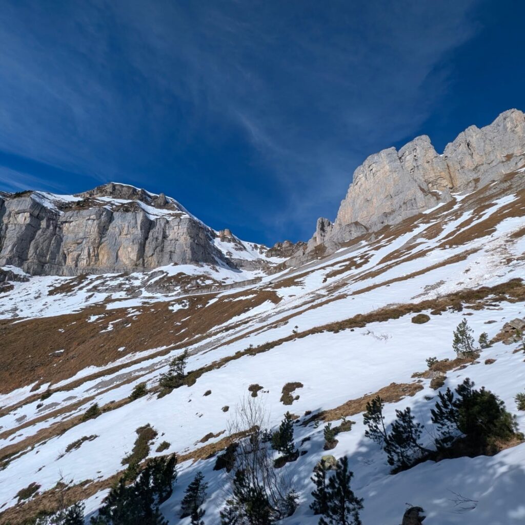 Instagram post from frei_urs. This post is in position 2.