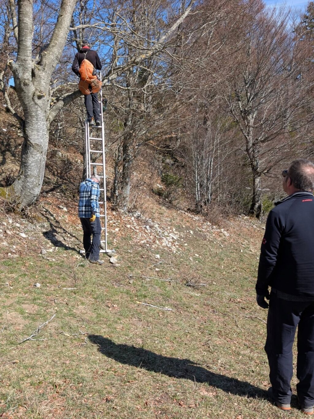 Instagram post from frei_urs. This post is in position 1.